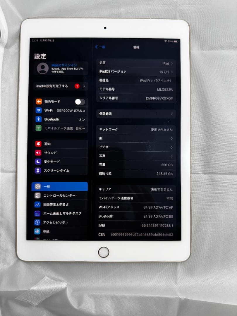 【年内売切】iPad Pro 9.7 256GB Cellular+ペン