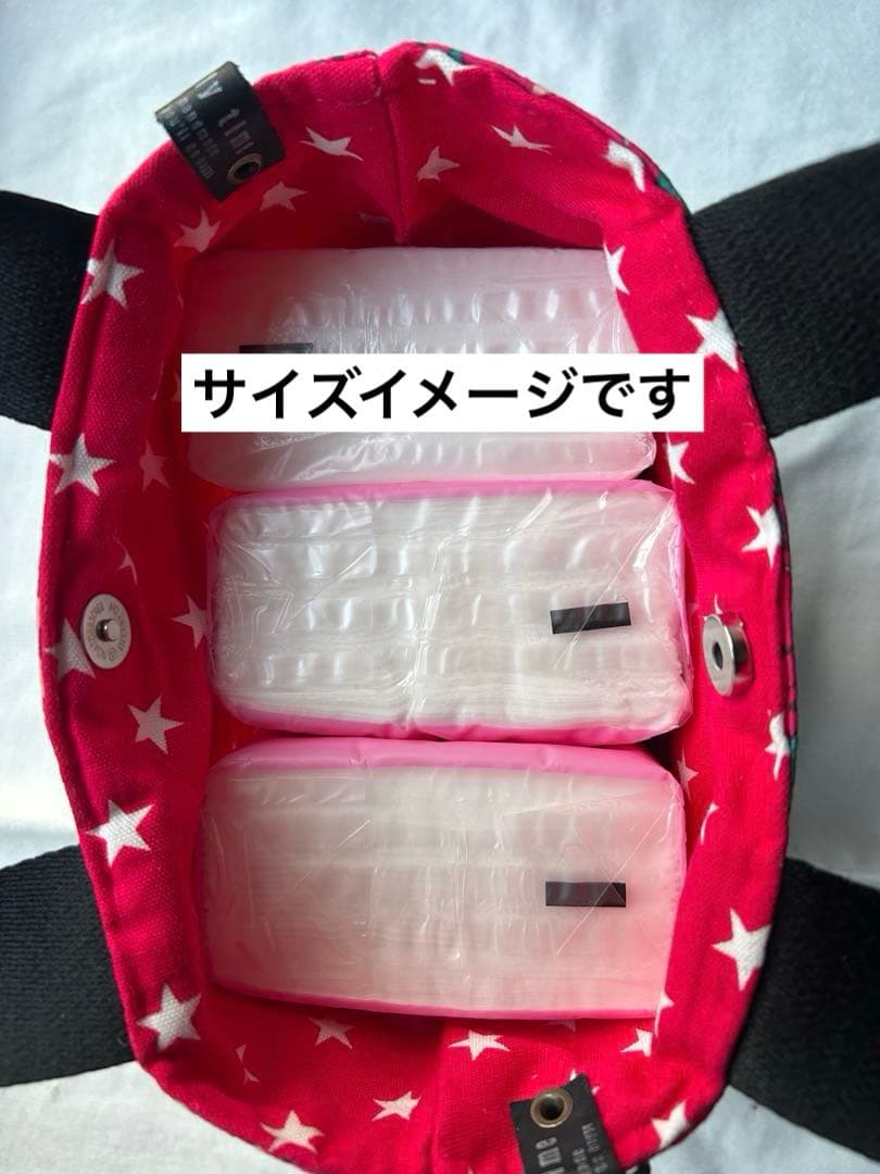 ハンドメイド　コヤンイサムチョン　リトルバレリーナ　ランチトートバッグ❣️