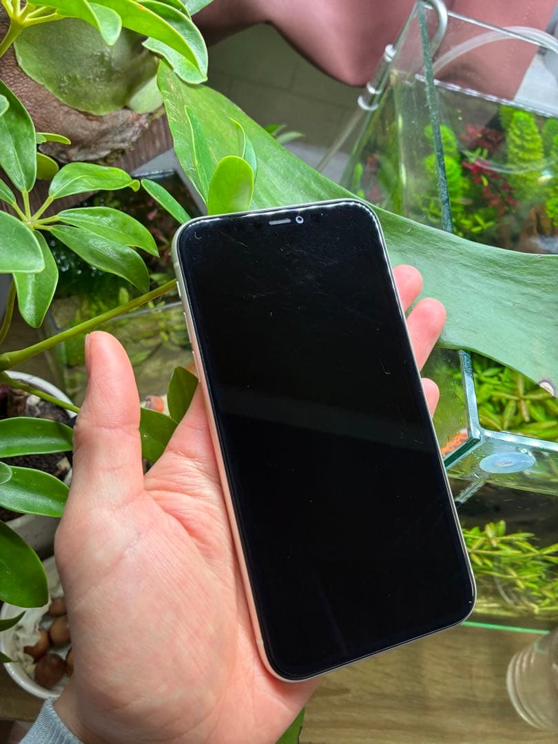 iPhone11 256ＧＢ
