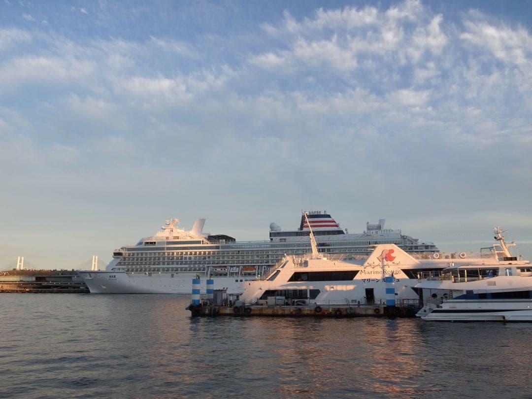 RICOH　GR DIGITAL Ⅳ　充電器付