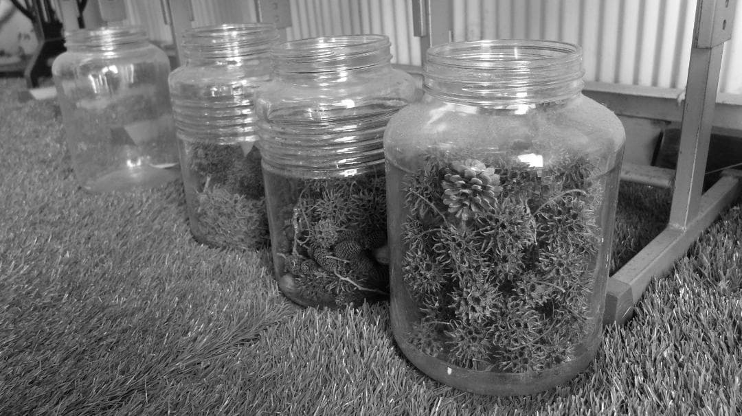 富士フイルム FUJIFILM X20 ※ジャンク品／現状渡し