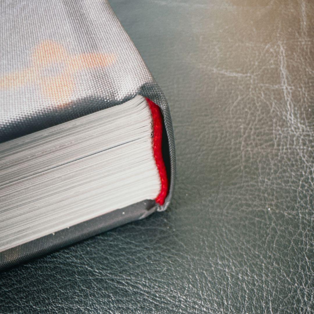 【オマケ付き】LOUIS VUITTON 大きなアートブック【美品】