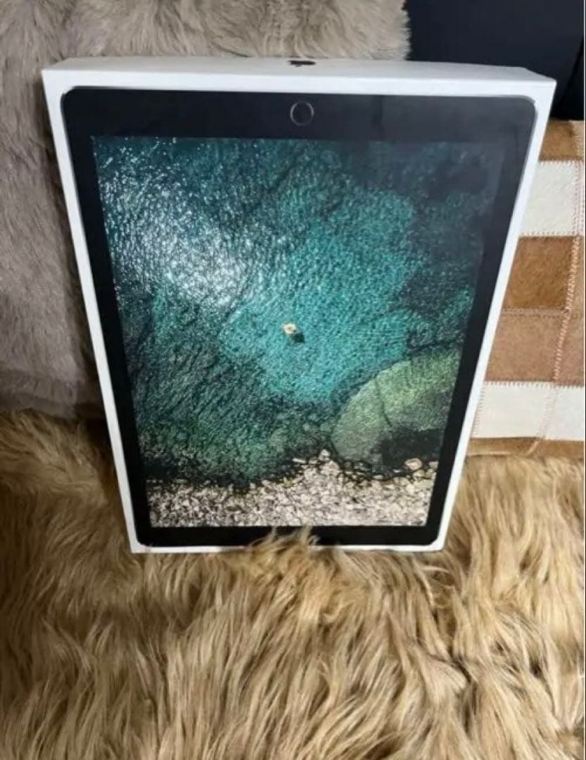 Apple iPad pro 12.9inch 第二世代 512gb Wi-Fi