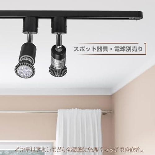 ダクトレール コンセント 直付けタイプ コンセント式 ライティングレール ライm