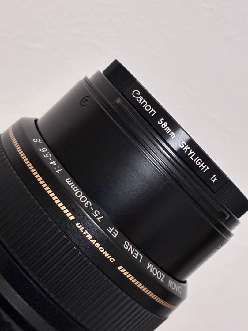 ⭐️美品⭐️キャノン Canon EF 75-300mm f4-5.6 IS USM