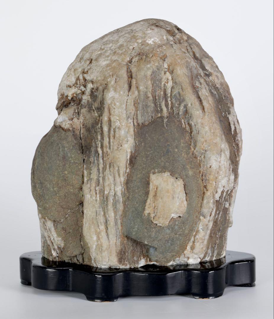 木化石 珪化木 白蛇石 蛇紋石 龍紋石 台座付 4.7kg 天然石 水石 盆石