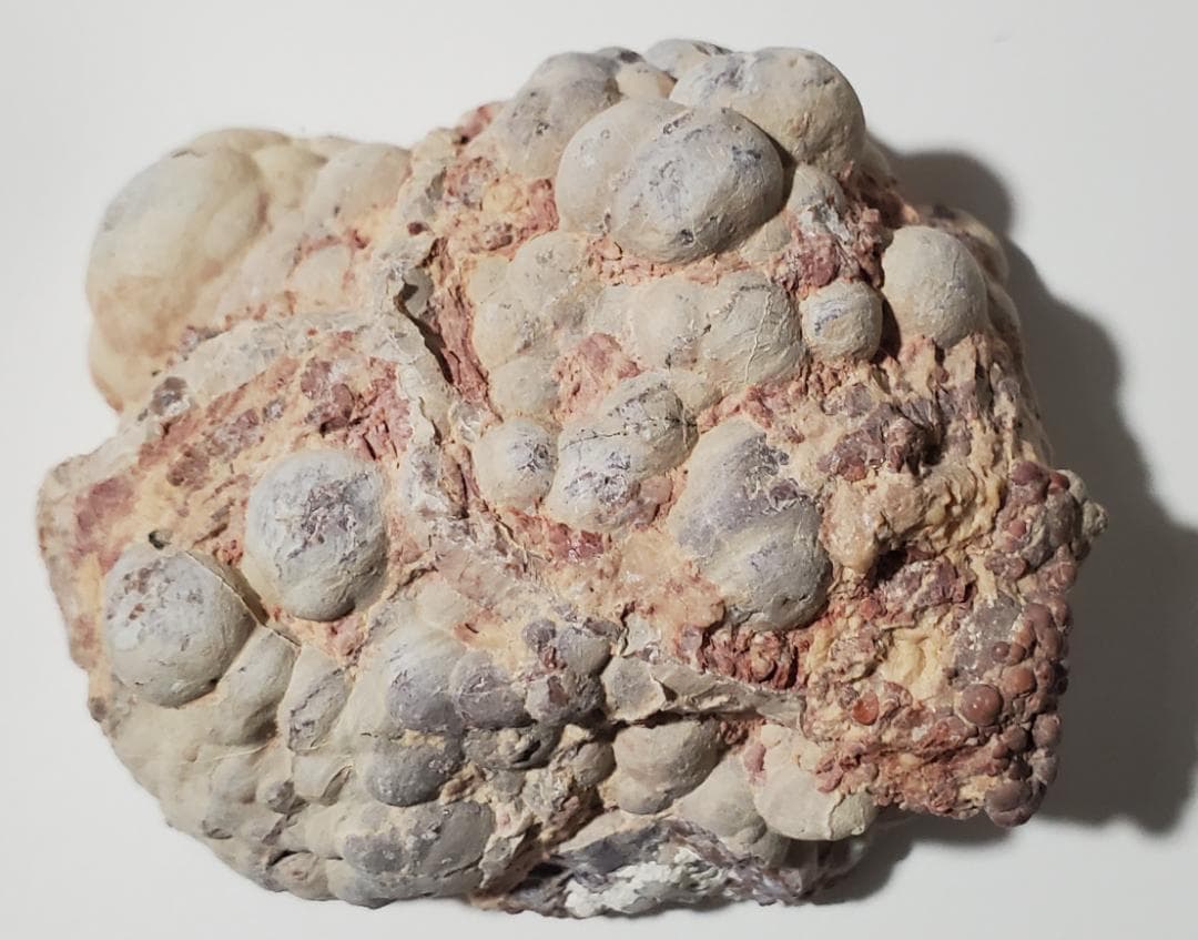 【コレクターズアイテム】サンダーエッグ