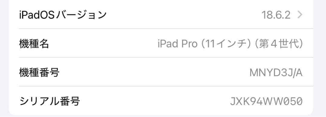 iPad Pro第4世代•11インチ•セルラーモデル•128GB•シルバー