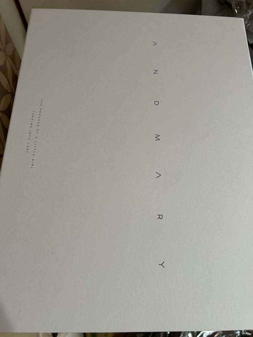 即日発送Valentine ribbon leather bag新品タグ付き