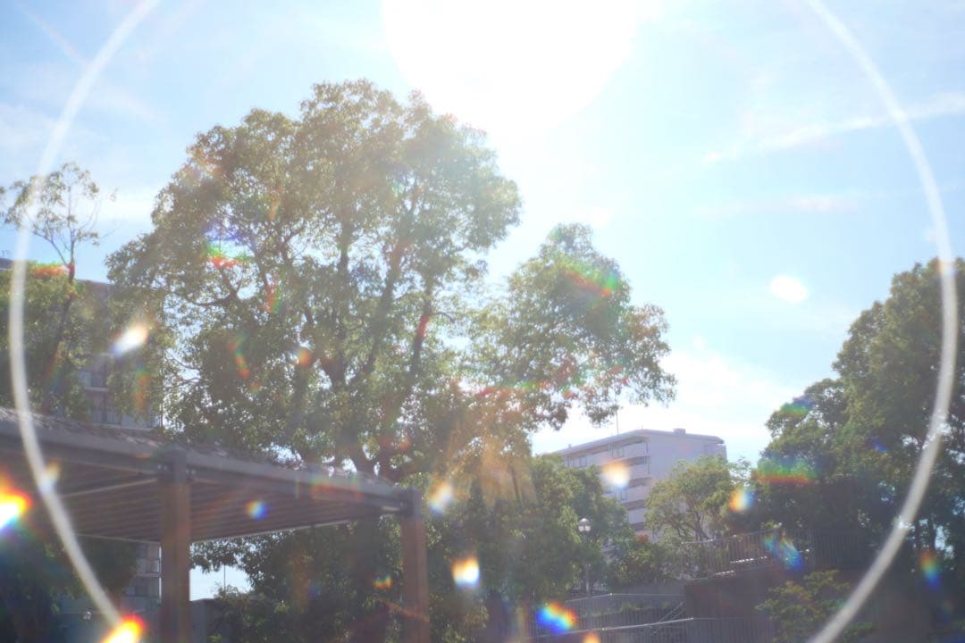 PENTAX Super Takumar 55mm F1.8 宝石タクマー