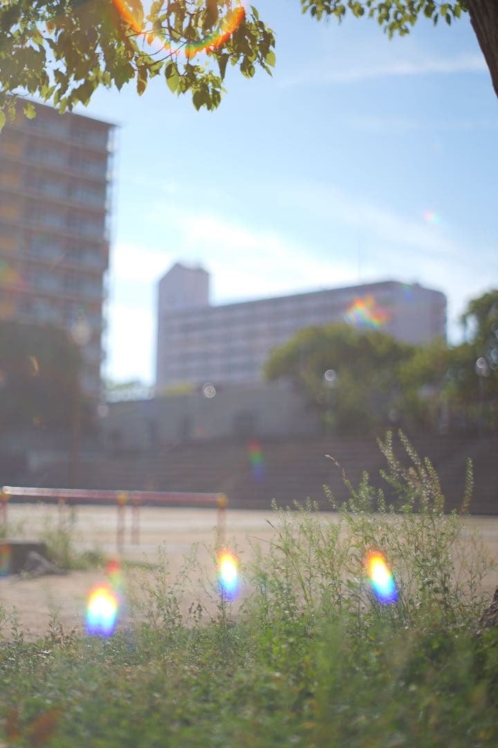 PENTAX Super Takumar 55mm F1.8 宝石タクマー