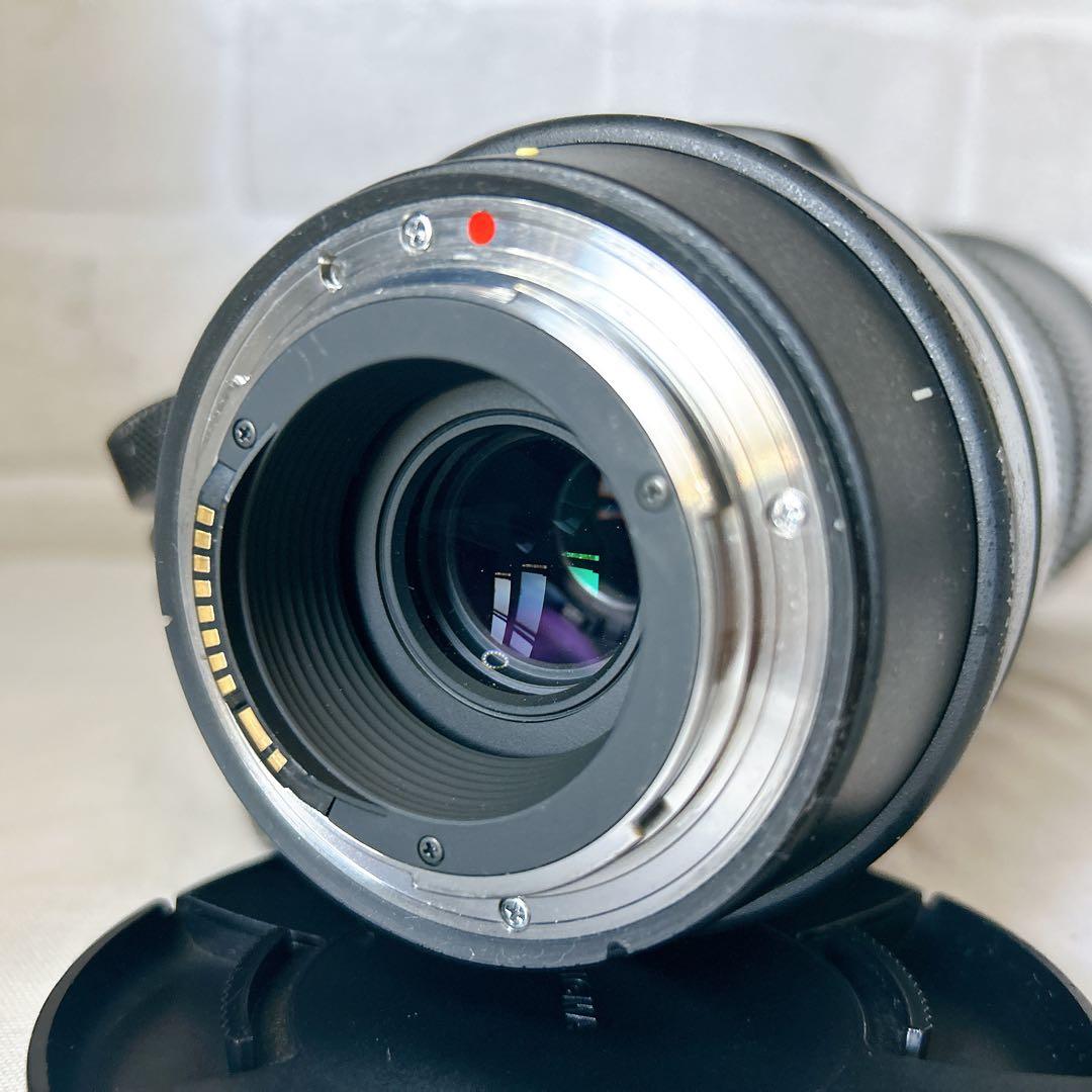 komrkko ✨SIGMA 150-600mm F5-6.3 DG✨