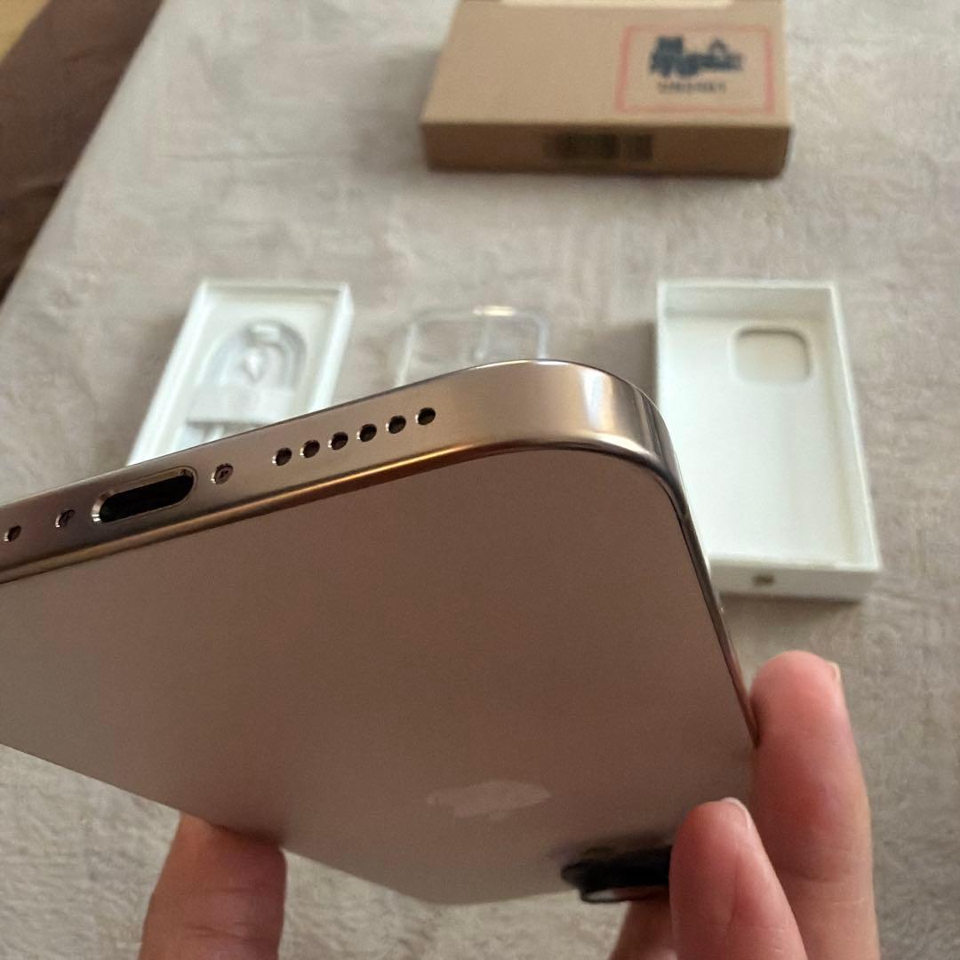 Apple iPhone 16 Pro Max 256GB 純正ケース付き