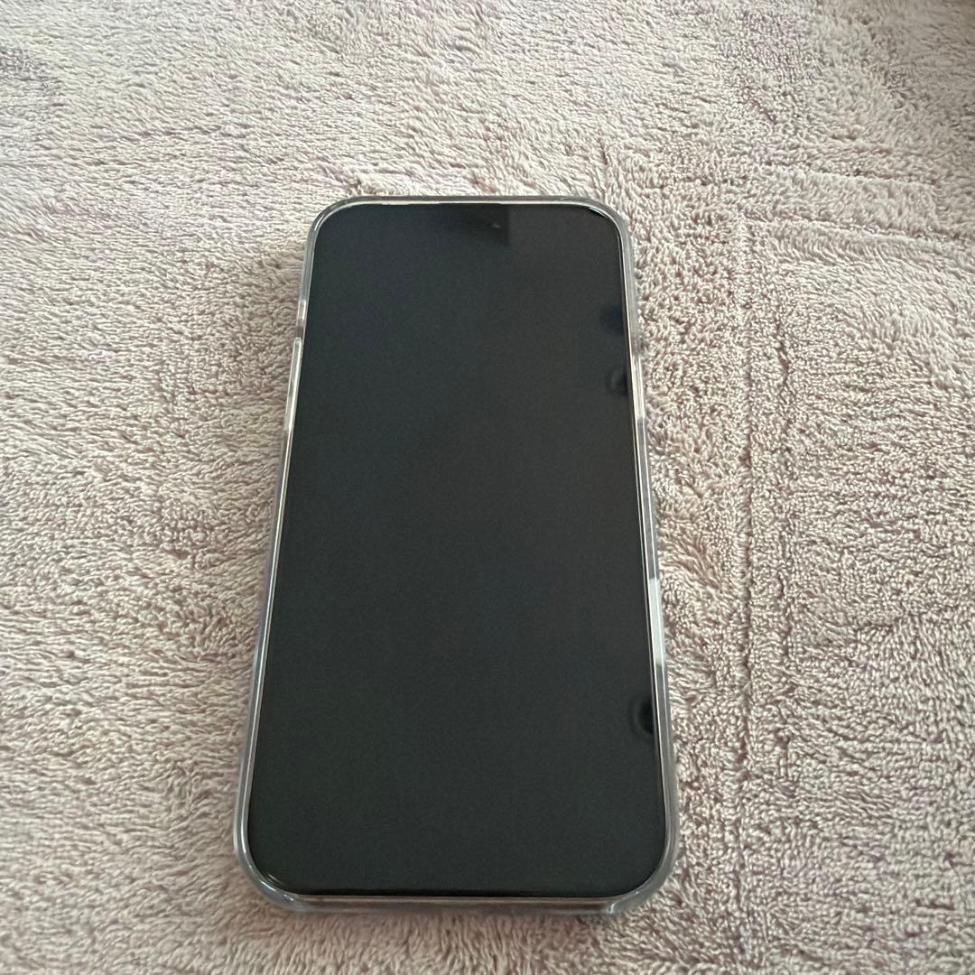Apple iPhone 16 Pro Max 256GB 純正ケース付き