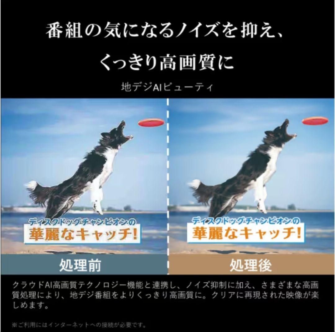 く*ー様 今だけ！☆美品です☆REGZA M550M 43V 4K液晶TV 新品