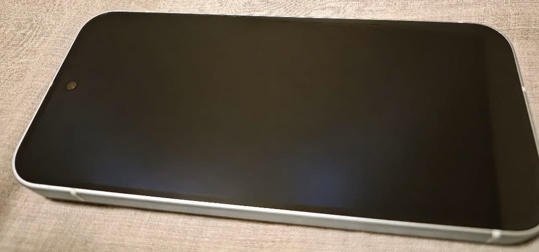 Google Pixel9 Wintergreen 128GB SIMフリー本体