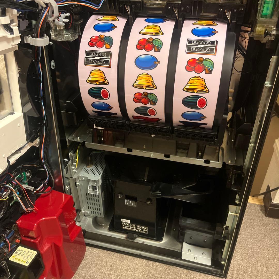 バーサスリヴァイズ　本機　引取限定