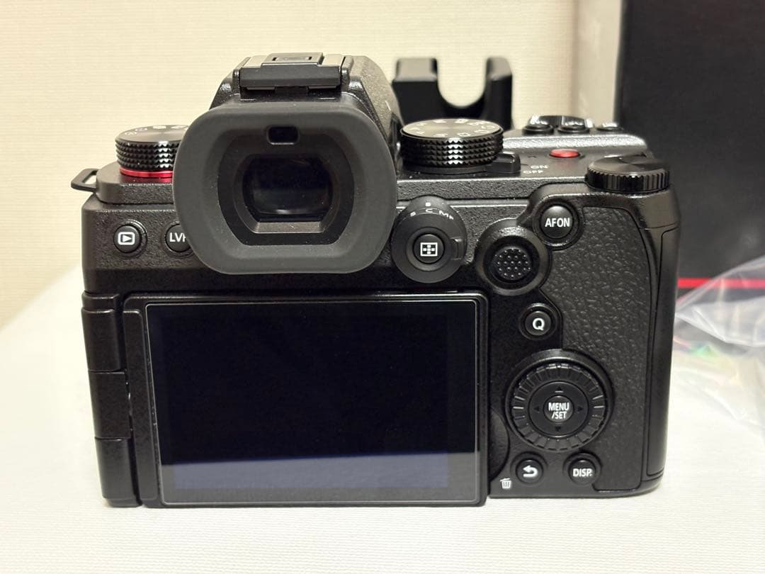 LUMIX S5II 標準ズームレンズキット（DC-S5M2K）