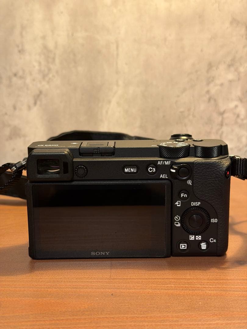 SONY α6600 レンズキット 18-135（ミラーレス一眼レフカメラ）