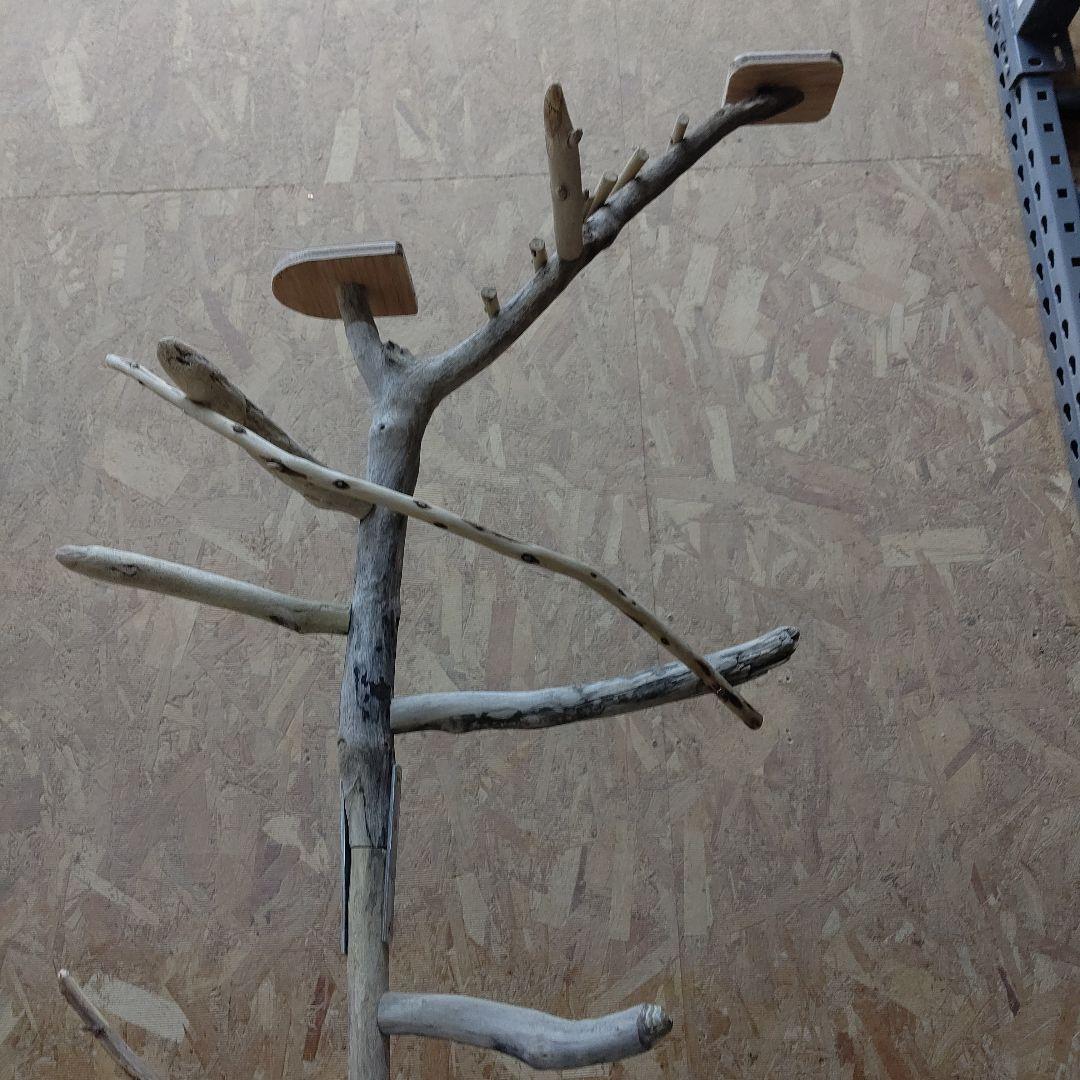 しょうた枠バードアスレチックジム大型(62) 鳥インコ止まり木、流木、