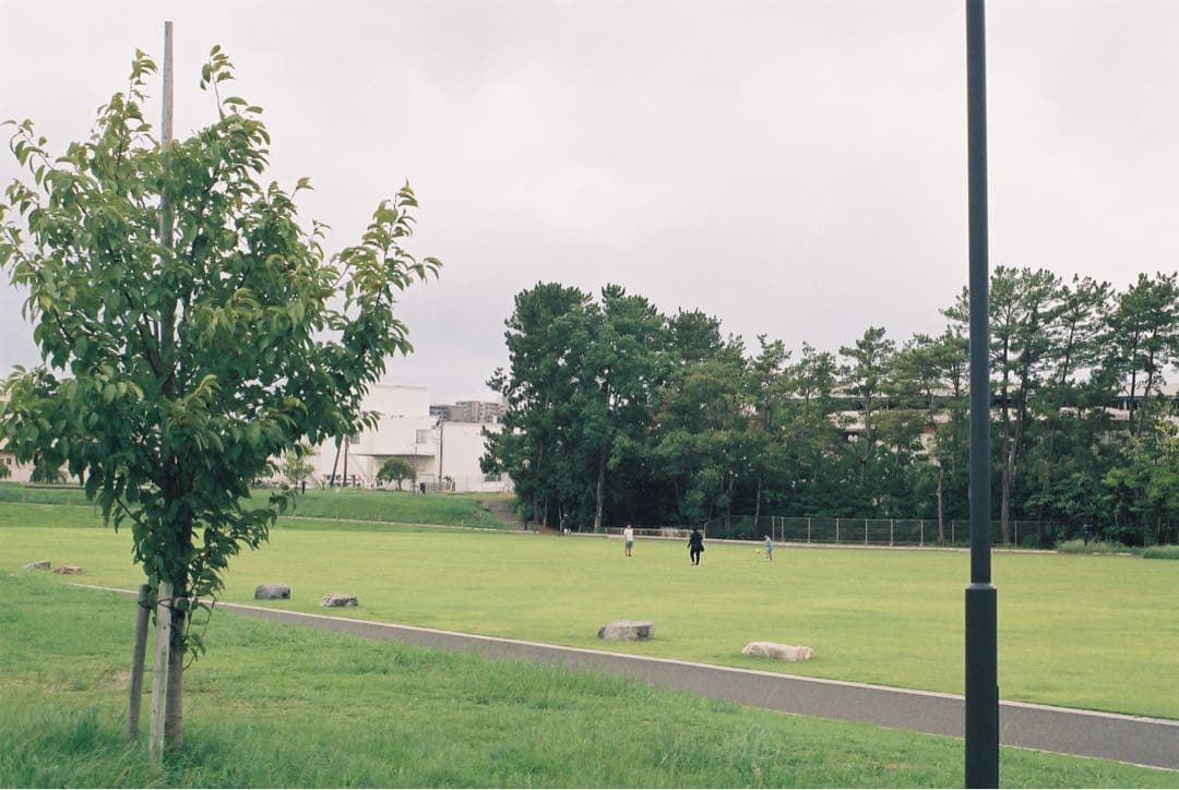 【整備品】Minolta XD ボディ　作例あり