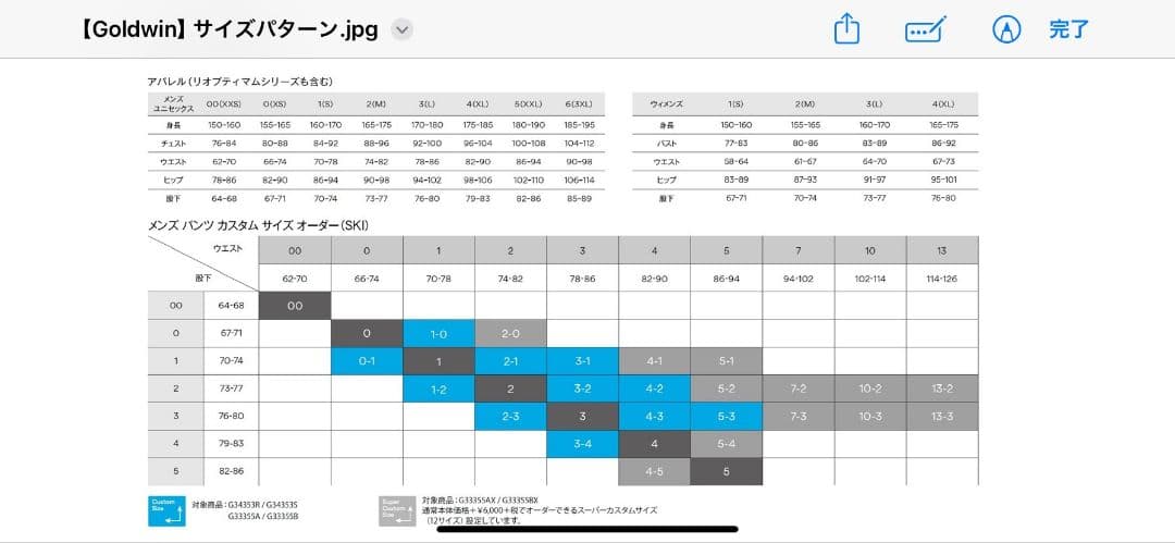 Goldwin　Ws GORE-TEX　3L Work Poket Jaket