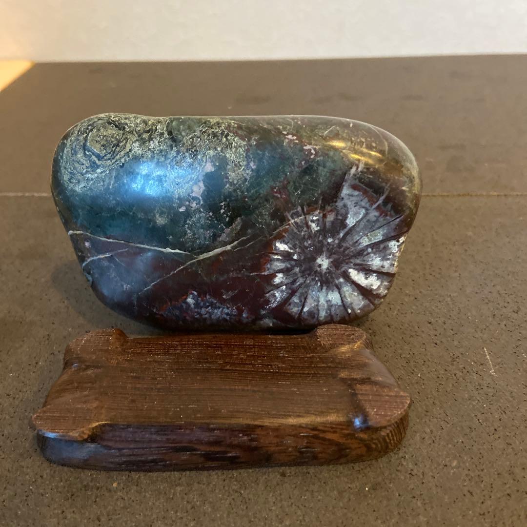 菊花石　★ 鑑賞石　菊花石　水石