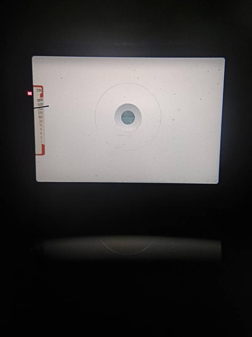 美品　ニコン FG-20 ブラック フィルムカメラ　モルト新品交換済 M554