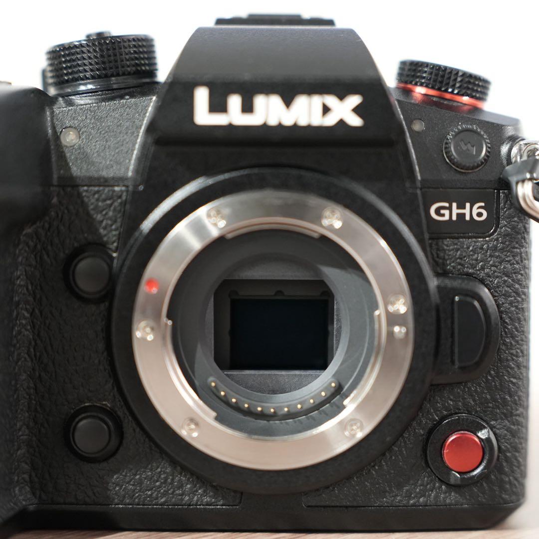 LUMIX GH6 ミラーレス一眼カメラ レンズ・TILTAゲージ付