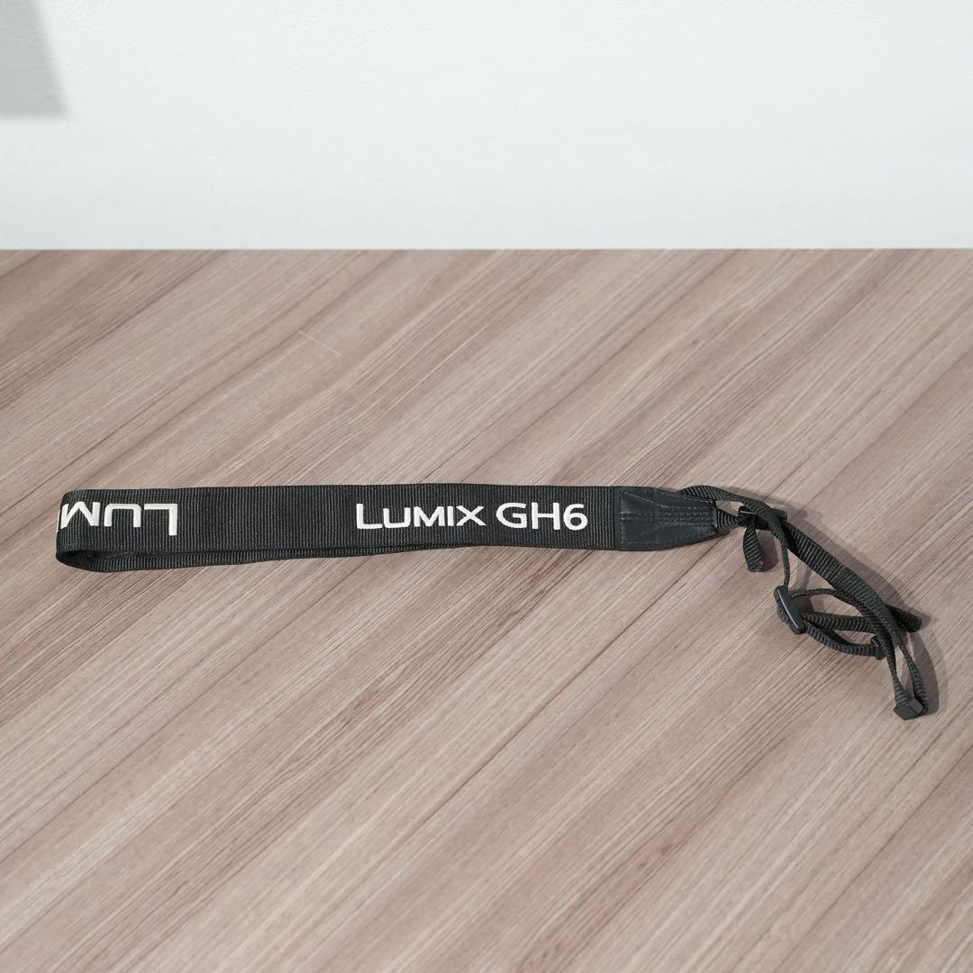 LUMIX GH6 ミラーレス一眼カメラ レンズ・TILTAゲージ付