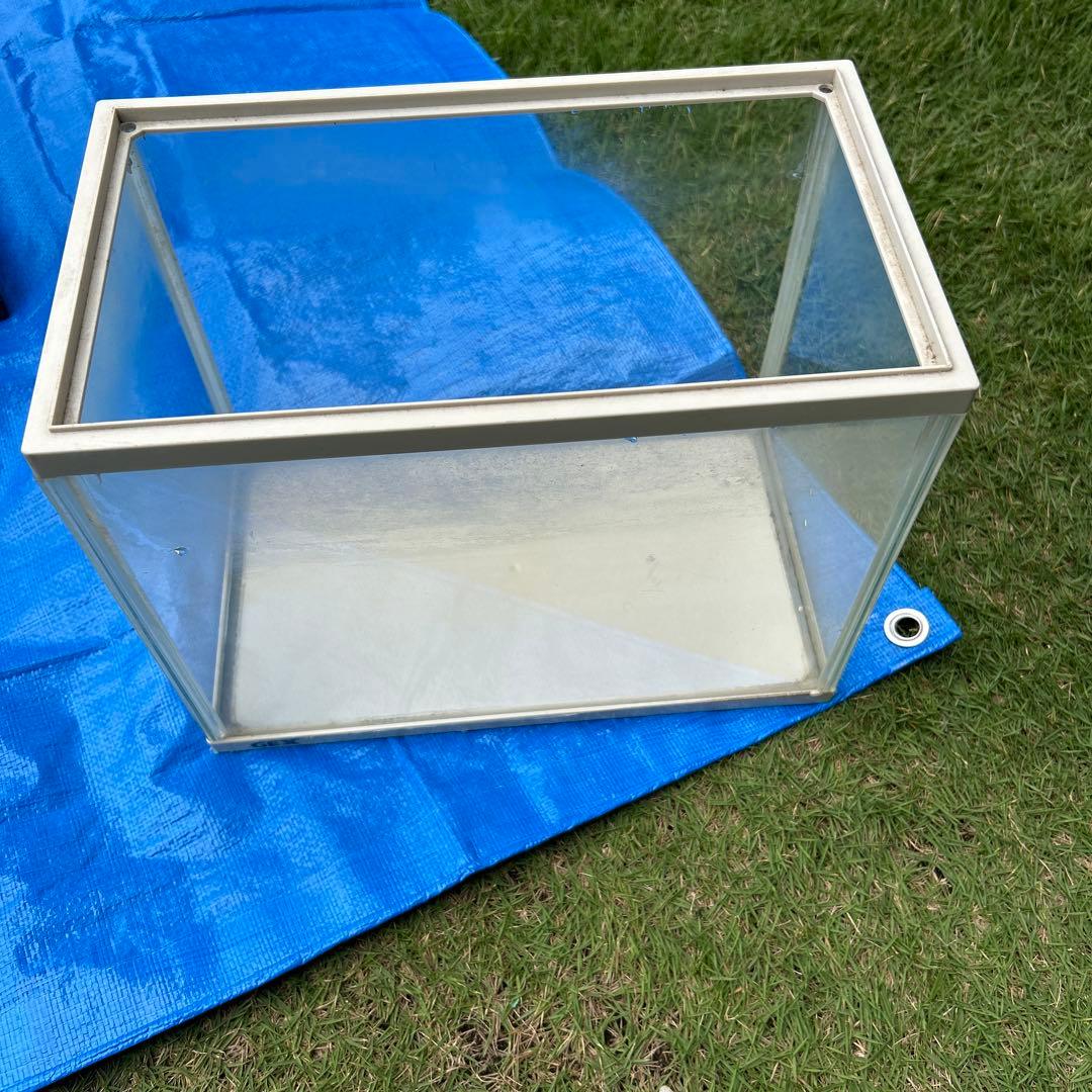 75㎝ガラス水槽 (引き取り限定、埼玉県) 小型水槽サービス