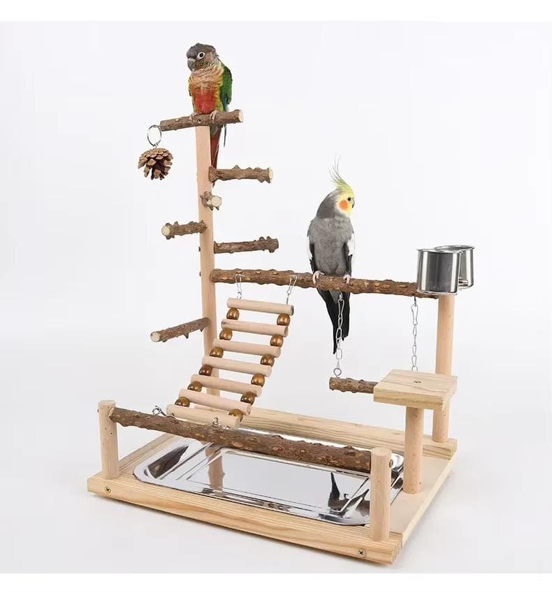 バード用アスレチックスタンド　パーチジム