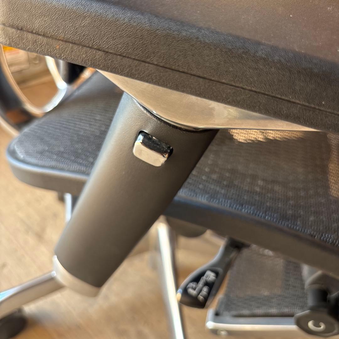 Ergohuman エルゴヒューマンプロオットマン内蔵型