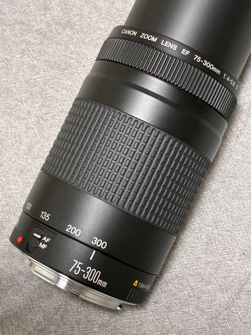 ⭐️美品⭐️ Canon EF 75-300mm F4-5.6 II フード付望遠