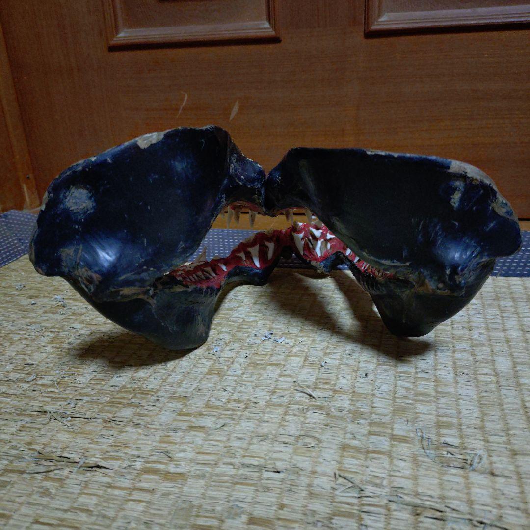 サメ　顎　歯　鮫　インテリア装飾