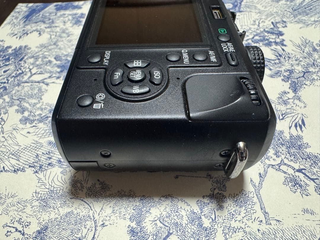 Panasonic LUMIX DMC-GF1 ミラーレス一眼