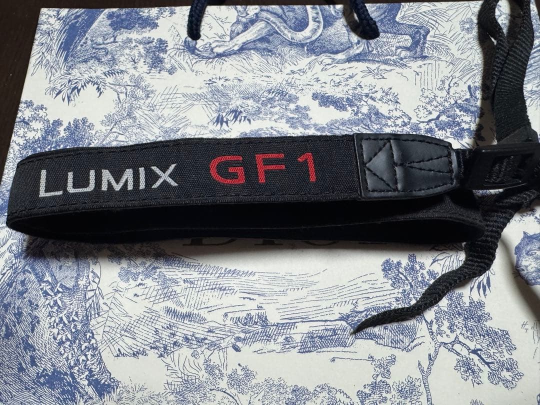 Panasonic LUMIX DMC-GF1 ミラーレス一眼