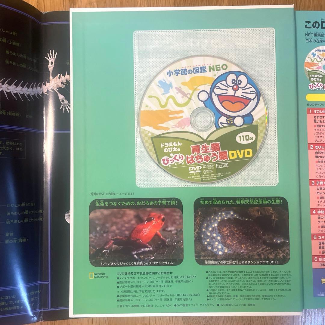 小学館の図鑑NEO 10冊セット 全てカバー付 【DVD付　未開封8冊】