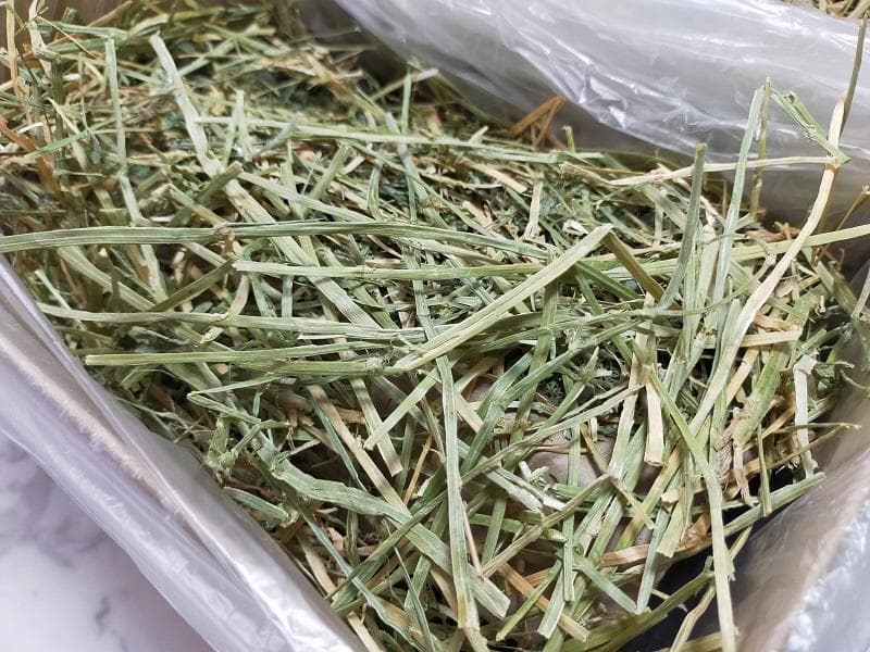 US産 チモシー 40kg ２番刈 ソフトスーパープレミアム