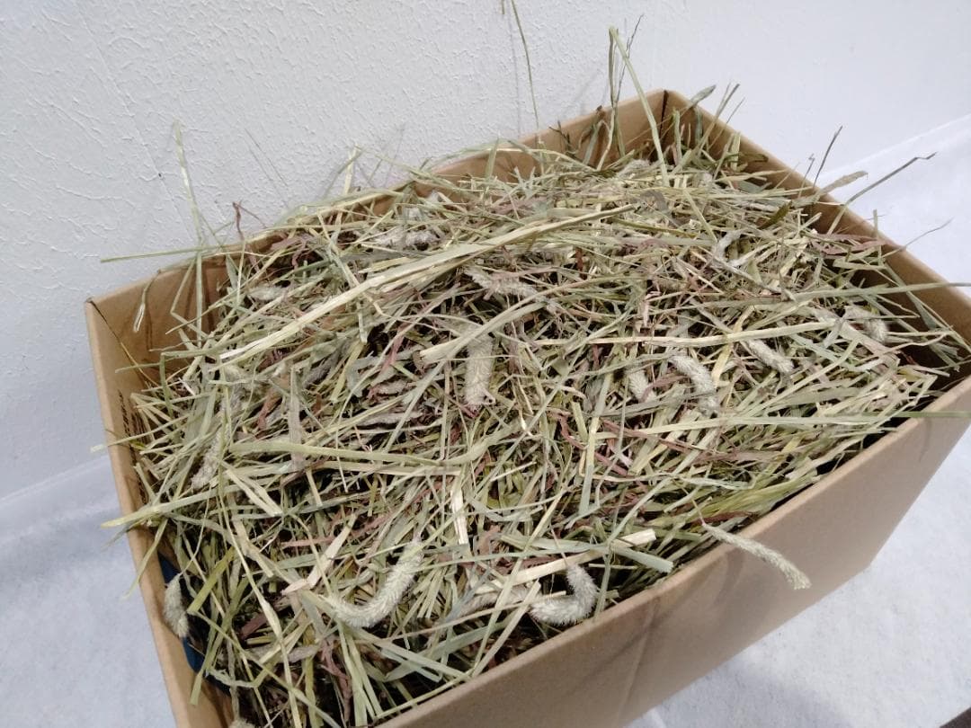 US産 チモシー 40kg ２番刈 ソフトスーパープレミアム