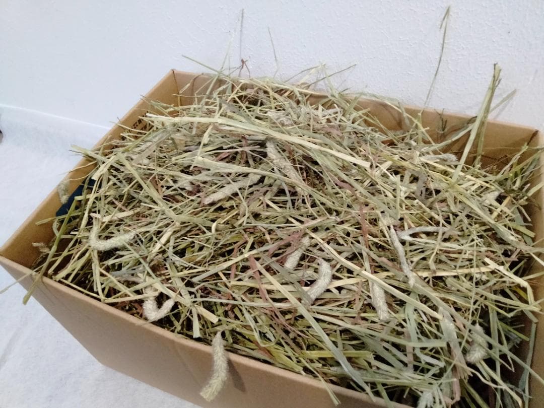 US産 チモシー 40kg ２番刈 ソフトスーパープレミアム