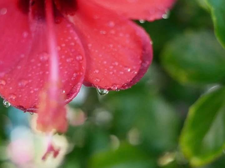 単焦点レンズ！25mm F1.8 ブラック　FUJIFILMミラーレス対応！格安