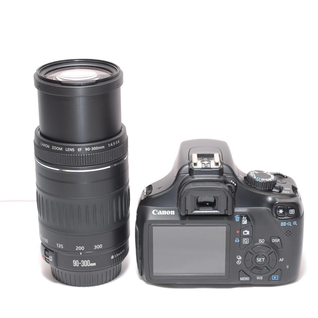 もふもふ 超望遠レンズデビュー✨Canon Kiss X50✨