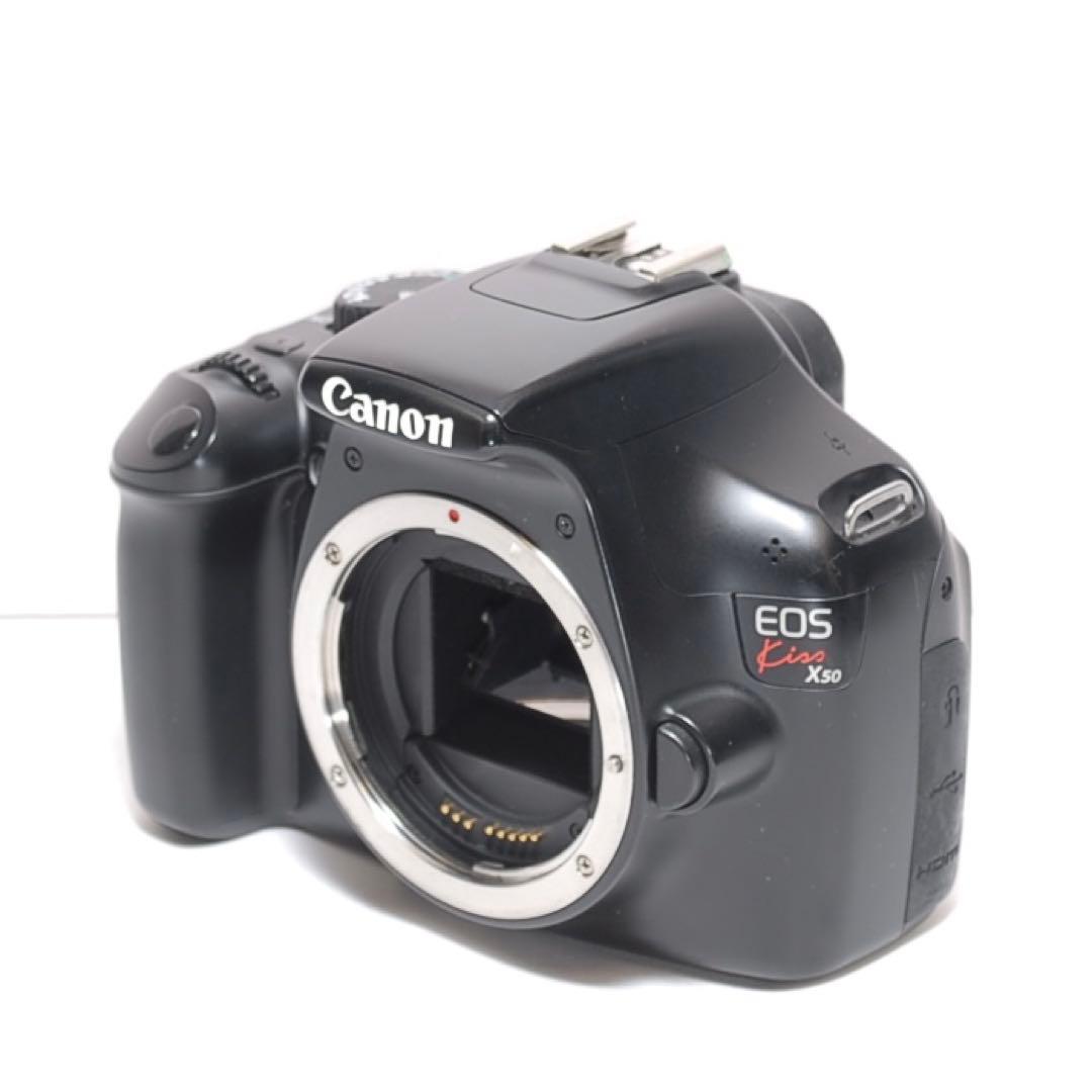 もふもふ 超望遠レンズデビュー✨Canon Kiss X50✨