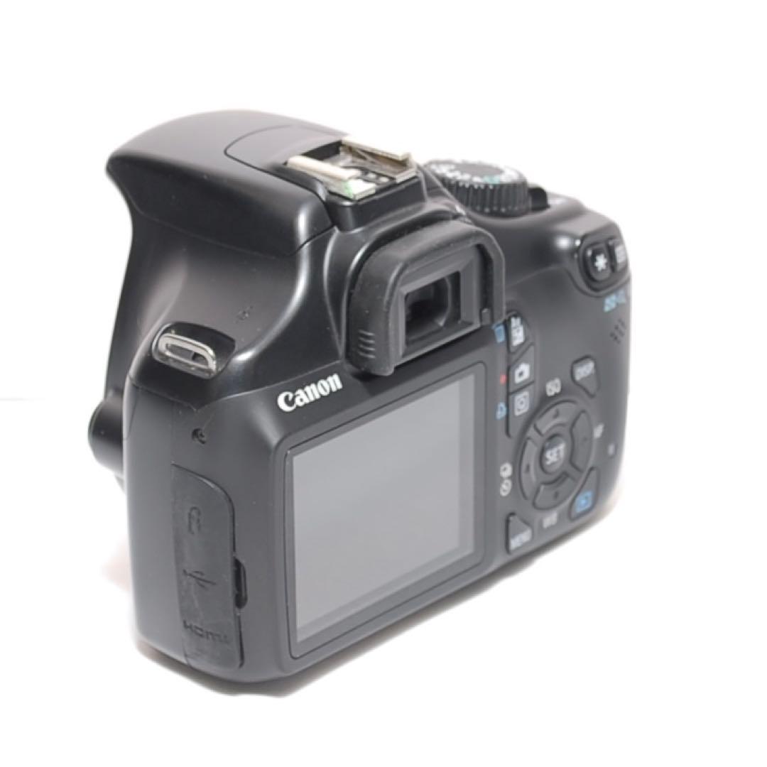 もふもふ 超望遠レンズデビュー✨Canon Kiss X50✨