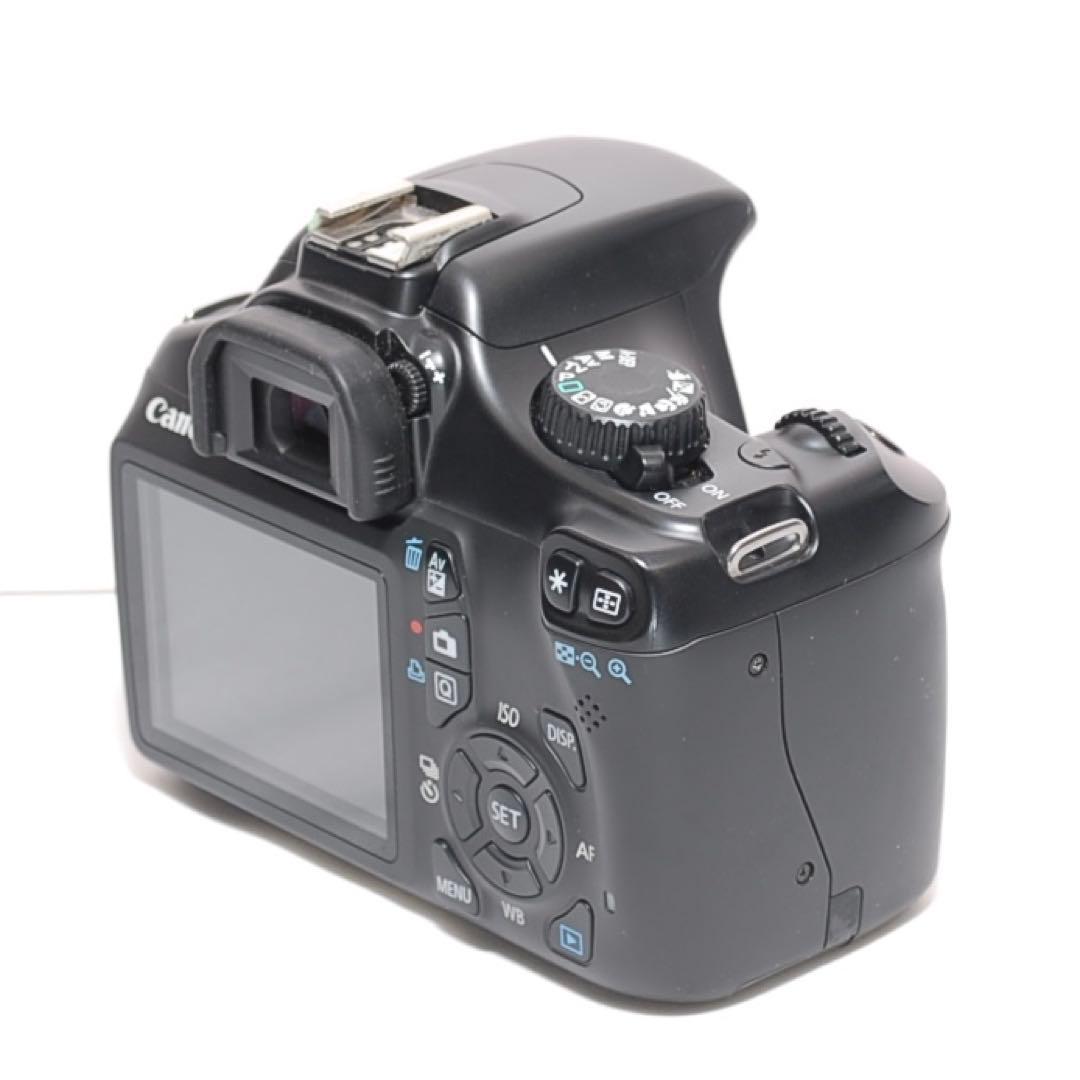 もふもふ 超望遠レンズデビュー✨Canon Kiss X50✨