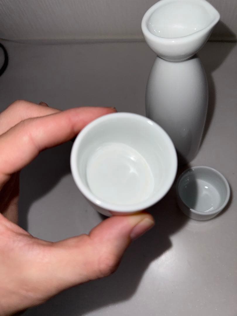 Supreme シュプリーム sakeセット お猪口 徳利 利酒 日本酒