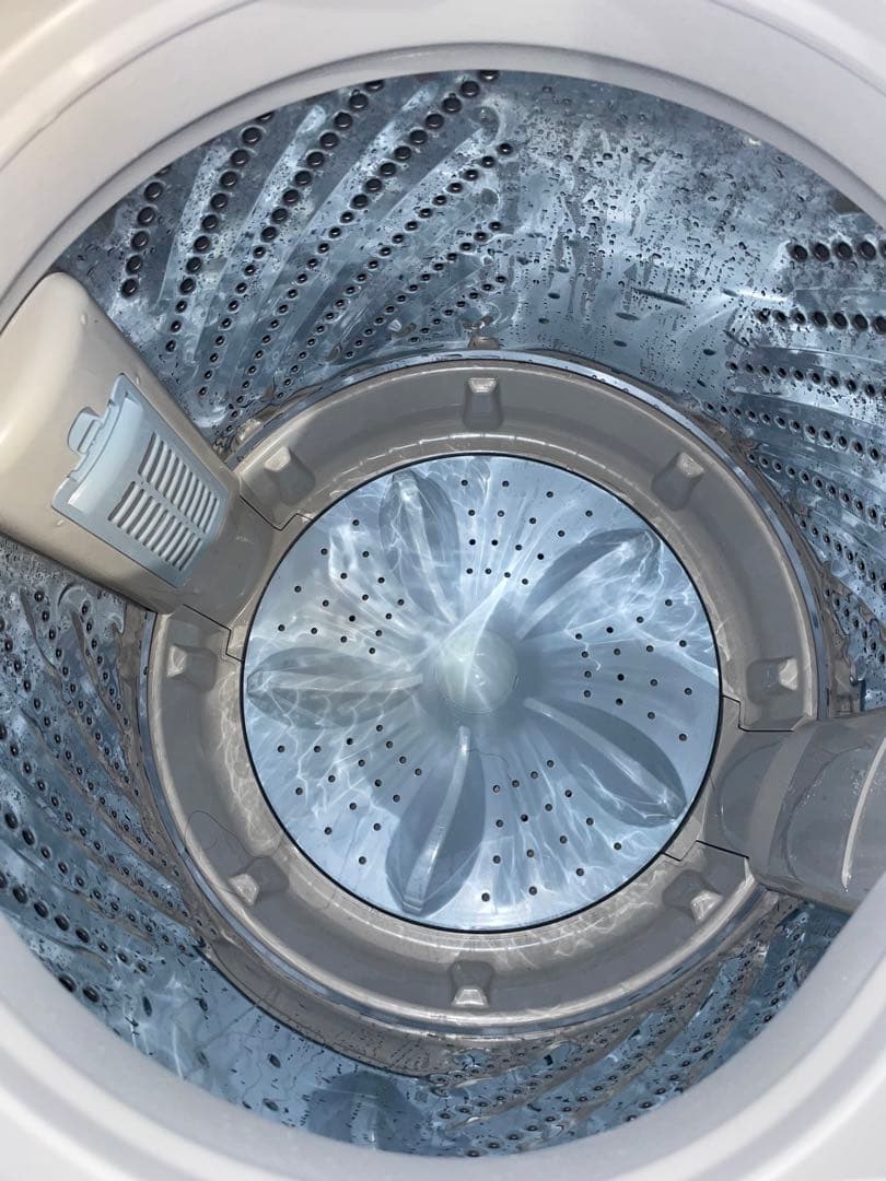 2023年製 Hisense冷蔵庫のみ