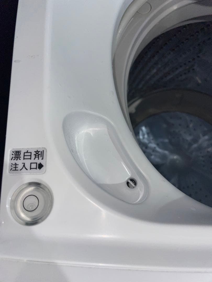 2023年製 Hisense冷蔵庫のみ