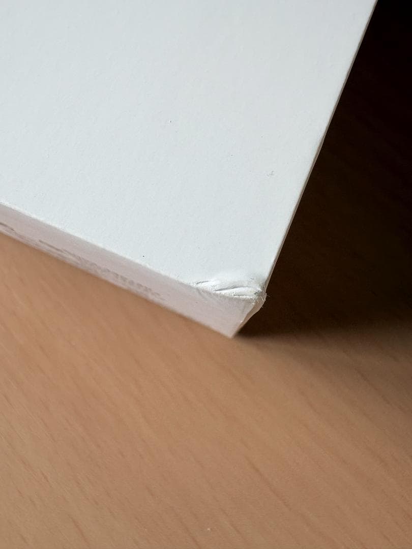 【美品】AirPods Pro 2 MagSafe充電ケース(USB-C)